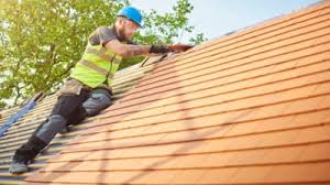Best Roof Moss and Algae Removal  in Key Largo, FL